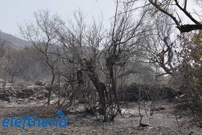 Ιεράρχηση αναγκών ή σπατάλη πόρων;