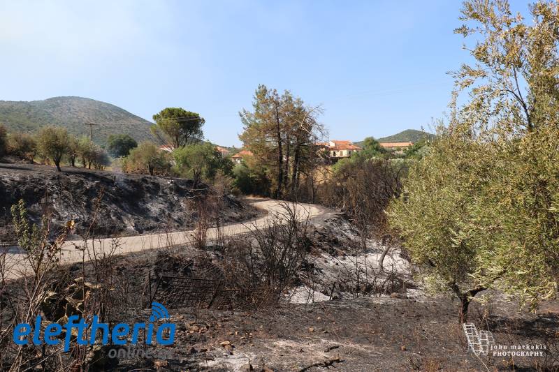 Μάχη των πυροσβεστών στη Δημοτική Ενότητα Ιθώμης: Μεγάλο πύρινο μέτωπο απείλησε τα Πετράλωνα (βίντεο-φωτογραφίες)
