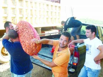 Φεύγουν τα πρώτα σύκα για Αμερική και Καναδά