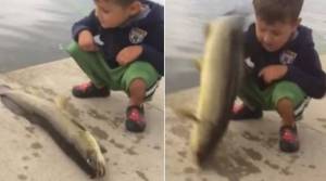 Βίντεο: Ψάρι «χαστουκίζει» αγόρι!