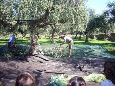 Στις 27 του μήνα η προκαταβολή της επιδότησης των αγροτών - Ζεστό χρήμα στην αγορά