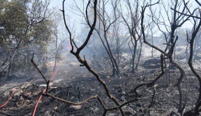 Πυροσβεστική: 68 φωτιές το τελευταίο 24ωρο - Καλύτερη η εικόνα στα Μέθανα