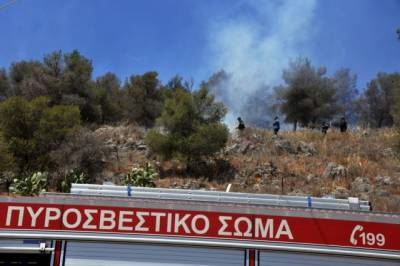 Κάηκαν 60 στρέμματα στη Χρυσοκελλαριά