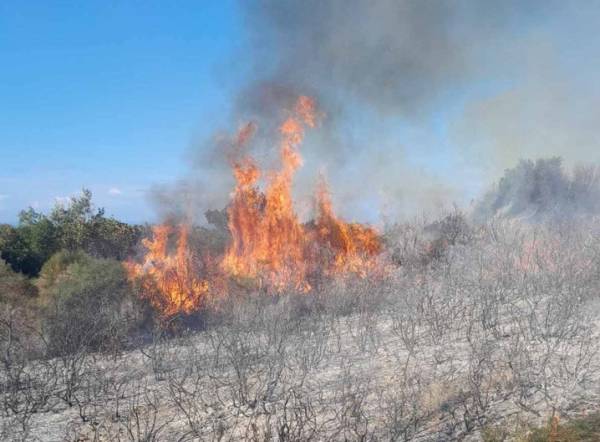 Μεσσηνία: Κινητοποίηση της Πυροσβεστικής για πυρκαγιά στην περιοχή του Κάκκαβα Τριφυλίας