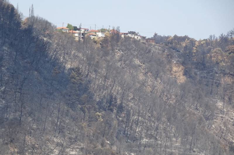 Σε λειτουργία η πλατφόρμα arogi.gov.gr για τους πυρόπληκτους