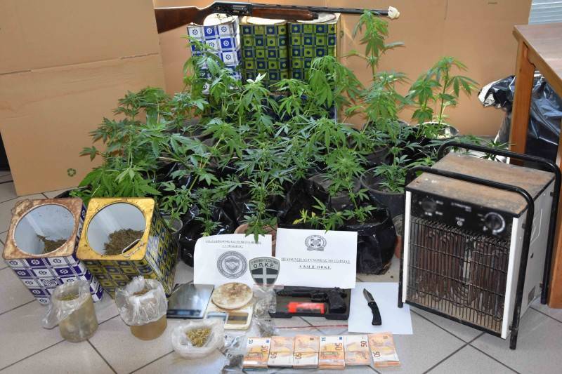 Χασισοκαλλιέργεια στο Χαλαζόνι: Προφυλακίστηκε ο πατέρας, ελεύθερος με περιοριστικούς όρους ο γιος