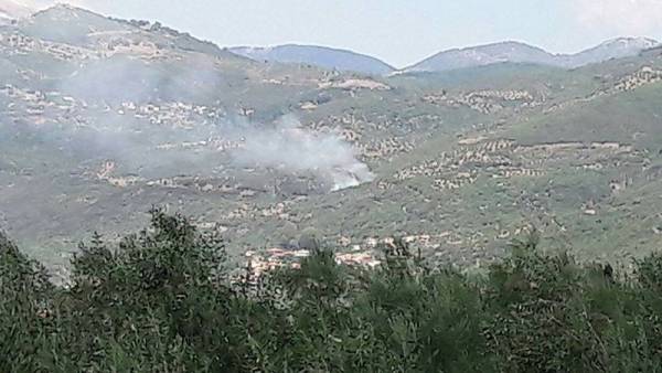 Κάηκαν 10 στρέμματα δάσους στο Δεσύλλα Μεσσηνίας