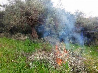 Πρόστιμα από την Πυροσβεστική για ανεξέλεγκτη καύση κλαδιών