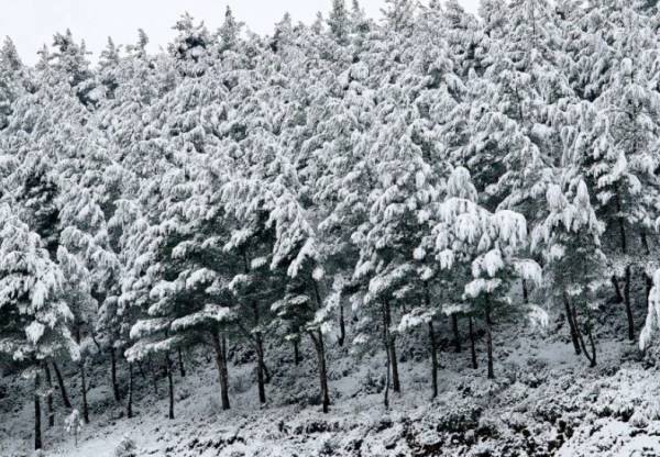 Κακοκαιρία Μήδεια: Ισχυρός παγετός στη Βόρεια Ελλάδα, άγγιξε τους -20 το θερμόμετρο στο Μεσόβουνο Κοζάνης
