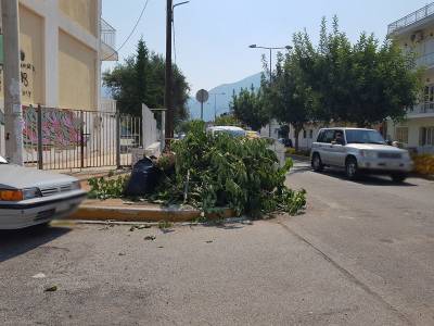 Γιατί δεν εφαρμόζεται ο κανονισμός καθαριότητας; 