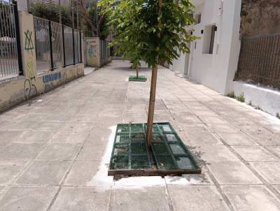 Πλέγμα για καθαρά παρτέρια