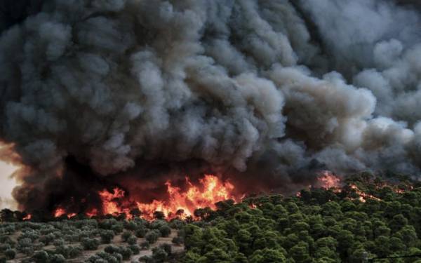 Εθνικό Αστεροσκοπείο Αθηνών: Νέα όρια για την εκτίμηση του βαθμού επικινδυνότητας των δασικών πυρκαγιών