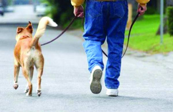 500 ευρώ πρόστιμο για γάβγισμα σκύλου στην Καλαμάτα