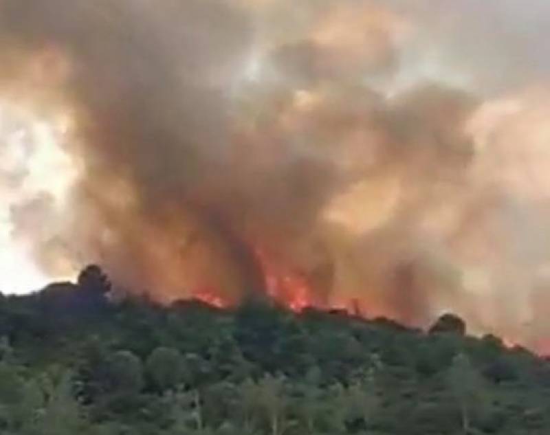 Μεσσηνία: Υπό έλεγχο η πυρκαγιά στο Χανδρινού - Προσαγωγή υπόπτου για εμπρησμό (βίντεο)