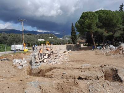 Υπαίθριο πάρκο ελιάς στη δυτική όχθη του Νέδοντα