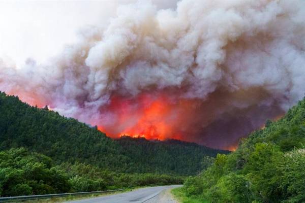 Αργεντινή: Γιγαντιαίες φωτιές - 7 εκατ. στρέμματα έχουν γίνει στάχτη