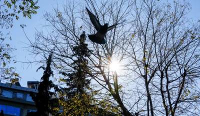 Αίθριος ο καιρός σήμερα με τοπικές νεφώσεις (Βίντεο)