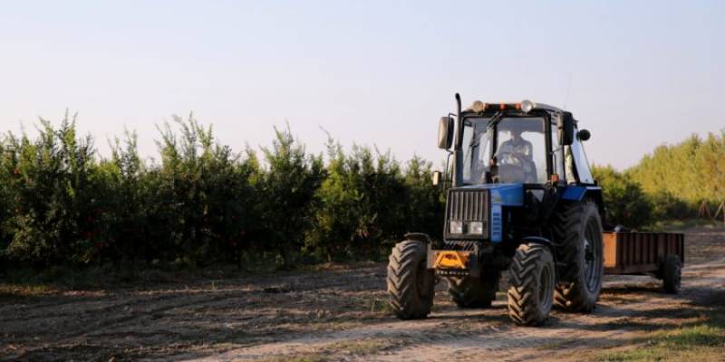 Πληρωμές 487,9 εκατ. από ΟΠΕΚΕΠΕ και ΕΛΓΑ σε 485.896 μοναδικούς δικαιούχους