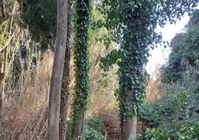 Καθαρίστηκε η παραποτάμια διαδρομή για το διατηρητέο Δημοτικό Σχολείο Κάτω Αμπελοκήπων