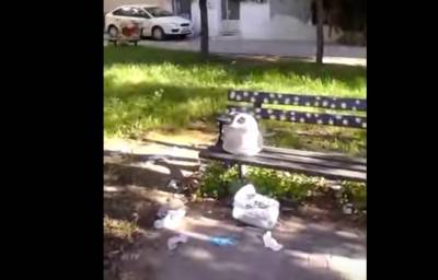 Ενα σπαρταριστό ερασιτεχνικό ρεπορτάζ για την πλατεία Ελευθερίας στην Καλαμάτα (βίντεο)