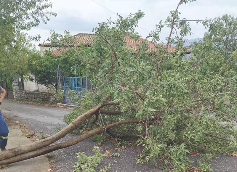 Δήμος Οιχαλίας: 800.000 ευρώ για ζημιές από καιρικά φαινόμενα