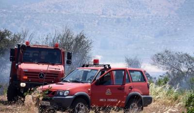 Φωτιά στον Όλυμπο - Καίει σε δύσβατη περιοχή στην Καρυά Ελασσόνας