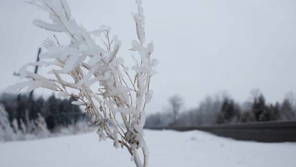 Καναδάς: 2 νεκροί από παγοθύελλα - Χωρίς ρεύμα πάνω από 1 εκατ. κάτοικοι