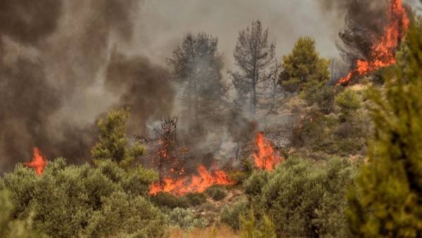 Υψηλός κίνδυνος πυρκαγιάς για αύριο σε όλη την Πελοπόννησο