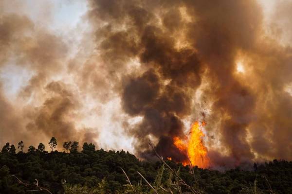Πυρκαγιά στην περιοχή Κανάκια Σαλαμίνας