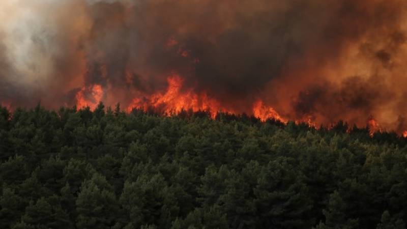 Κάηκε το 16% των δασών της ηπειρωτικής Αττικής! (βίντεο)