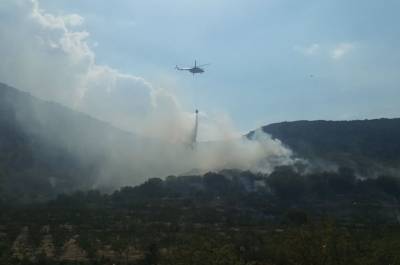 Μεσσηνία: Πυρκαγιά στο Πουλίτσι (βίντεο)