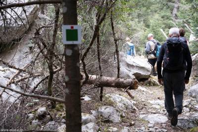 Καθαρισμός και σήμανση μονοπατιού στην Άνω Βέργα