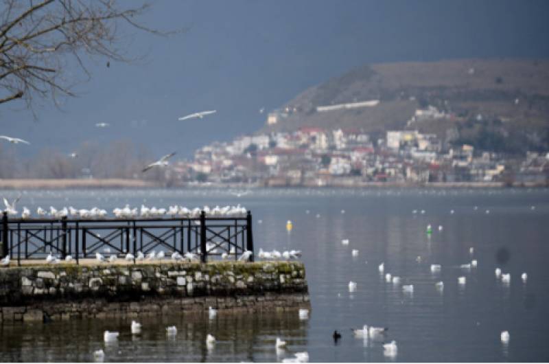 Ιωάννινα: Εκρυψαν ολόκληρο οπλοστάσιο στις όχθες της λίμνης