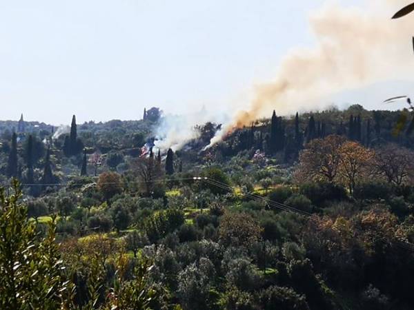 Πυρκαγιά σε δύσβατο σημείο πάνω από το Πεταλίδι