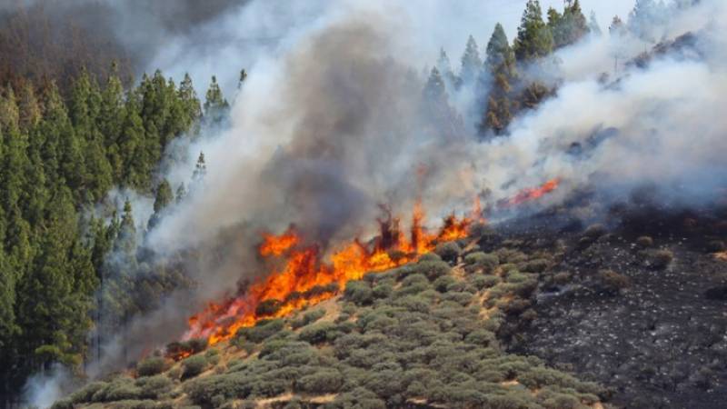 Ισπανία: Εκτός ελέγχου παραμένει η πυρκαγιά στο Γκραν Κανάρια