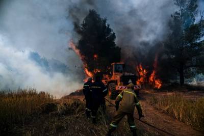 Λογαριασμό για την ενίσχυση των πυρόπληκτων στην Κορινθία ανοίγει ο Ελληνικός Ερυθρός Σταυρός