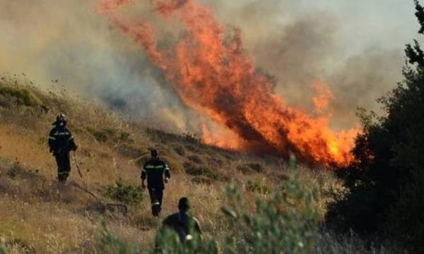 Υψηλός κίνδυνος πυρκαγιάς την Κυριακή σε περιοχές της Πελοποννήσου