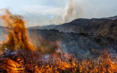 Κλιματική αλλαγή: Το καλοκαίρι του 2022 ακραία φαινόμενα σάρωσαν το βόρειο Ημισφαίριο