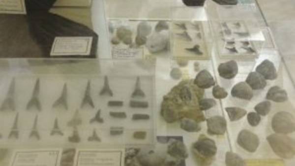 Ερευνητής προσφέρει στον Δήμο Ρεθύμνου συλλογή χιλιάδων σπάνιων απολιθωμάτων