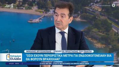 Χρυσοχοΐδης: «Βραχιολάκι» σε όλους τους υπόδικους για ενδοοικογενειακή βία που τίθενται υπό περιοριστικούς όρους (Βίντεο)