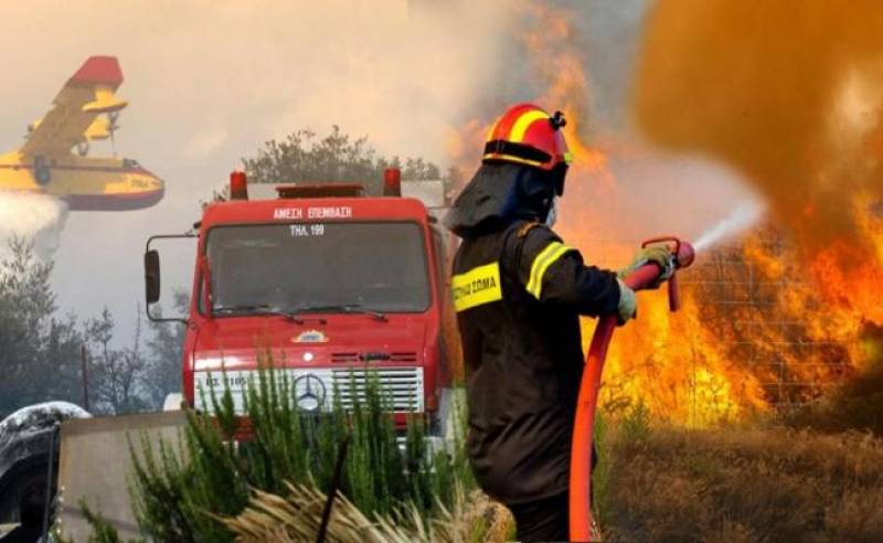 Κιλκίς: Φωτιά κατέκαψε χορτολιβαδικές εκτάσεις