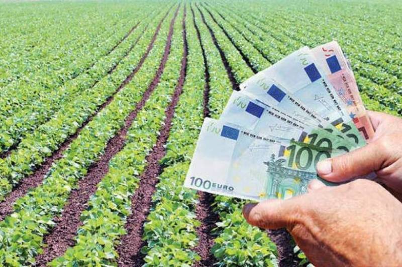 “Τρέχουν” οι παραγωγοί για τη βασική ενίσχυση: Αιτήσεις έως 25 Σεπτεμβρίου για να πάρουν προκαταβολή 31 Οκτωβρίου