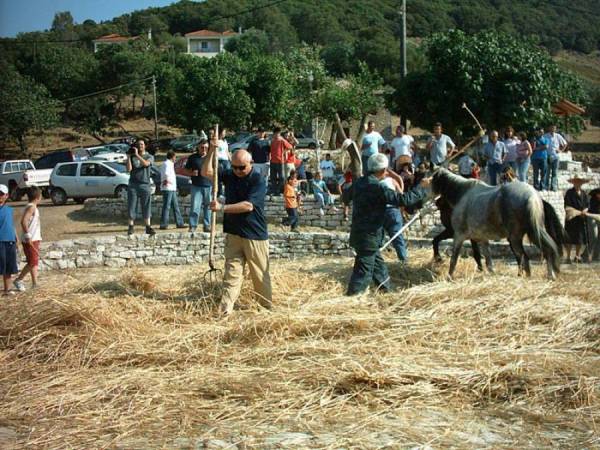 Πολιτιστικές εκδηλώσεις του Δήμου Τριφυλίας 