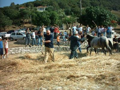 Πολιτιστικές εκδηλώσεις του Δήμου Τριφυλίας