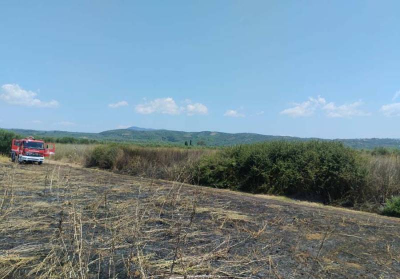 Δύο στρέμματα έκαψε φωτιά στο Πετροχώρι Πυλίας